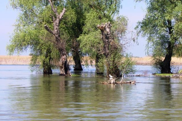 delta Mila 23 - mila-23---aprilie-2008-014.jpg